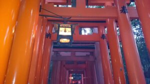 提灯に照らされた伏見稲荷大社の千本鳥居の通路