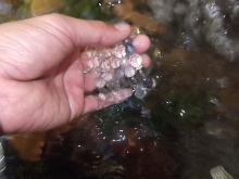 シャスタの源泉で手のひらにすくわれた水晶と水の写真