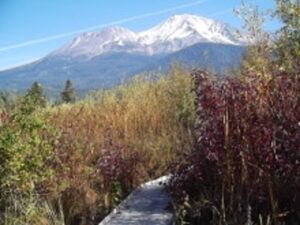 シッションメドウパークの木道と紅葉越しのシャスタ山