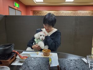 食事処で愛犬と過ごす夕食タイム