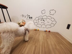 ゆるり箱根with DOGSのロゴ前に立つ白いトイプードル