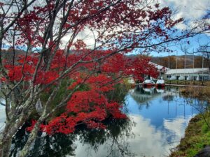湖沿いを散策する観光客と紅葉