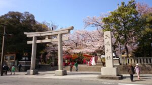三嶋大社の鳥居と社号標、満開の桜並木と春祭りの屋台