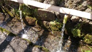 富士山の湧水が流れる御神水の竹筒と苔むす岩肌