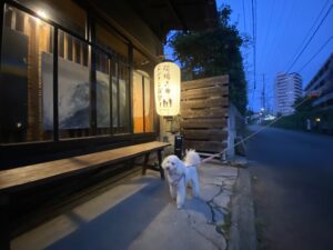 夜の炭焼きミンナミ食堂