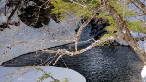 残雪が残る善五郎の滝周辺の渓流風景