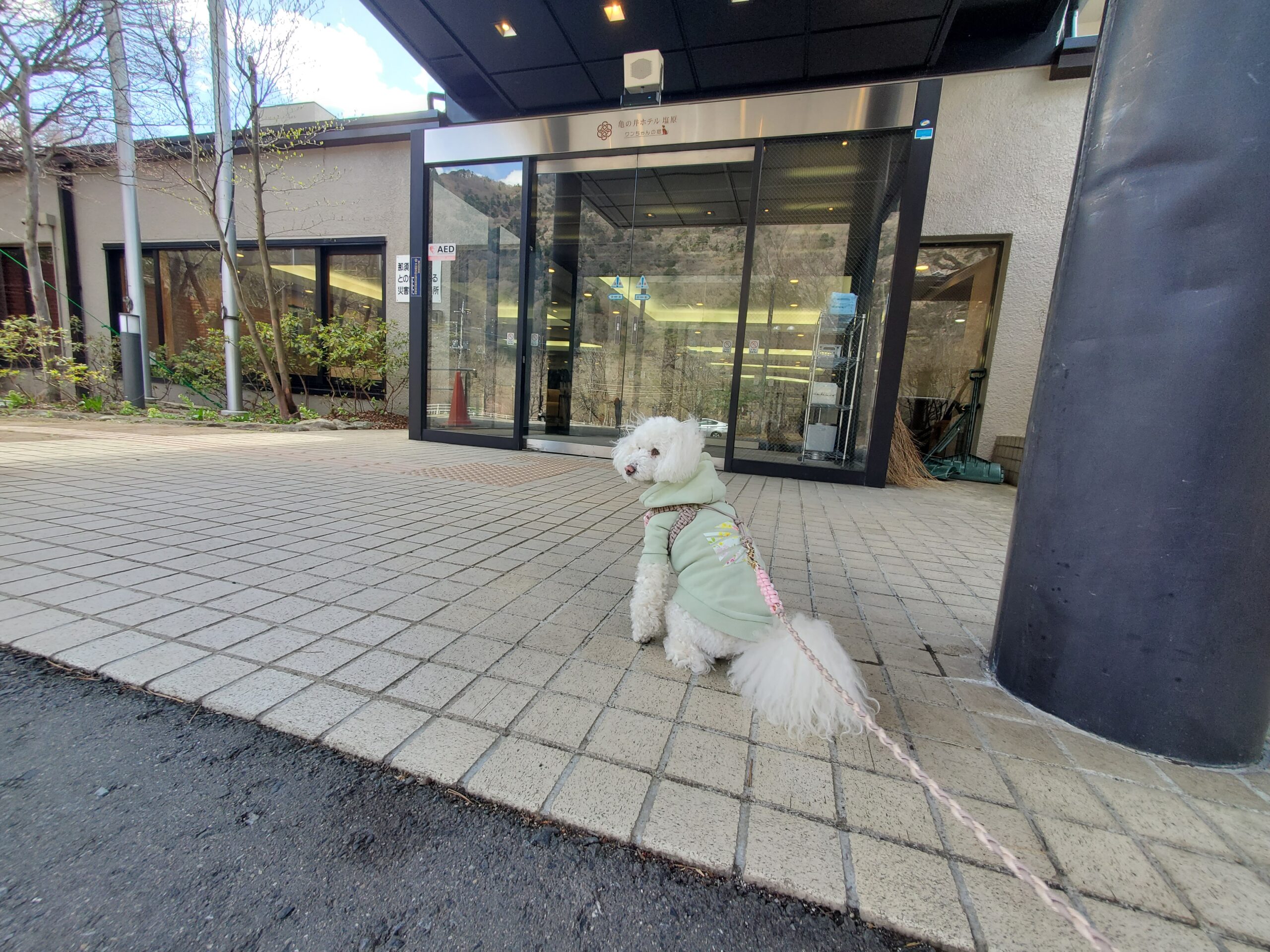 亀の井ホテル塩原 ワンちゃんの宿の玄関前で待つ愛犬
